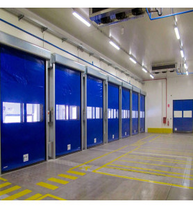 DynamicRoll FRIGO 2