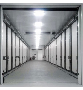 DynamicRoll FRIGO 2